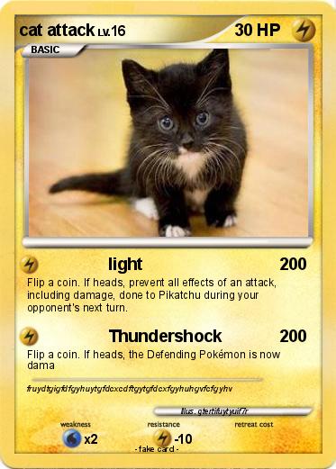 Pokemon cat attack