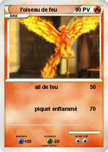 Pokemon l'oiseau de feu