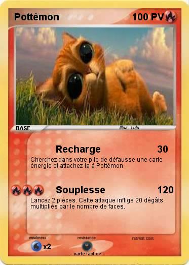 Pokemon Pottémon