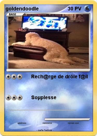 Pokemon goldendoodle