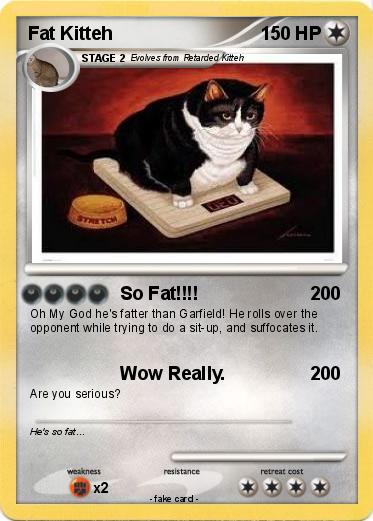 Pokemon Fat Kitteh
