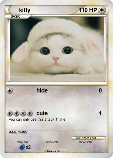 Pokemon kitty
