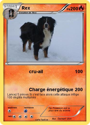 Pokemon Rex