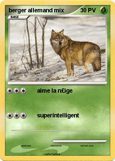 Pokemon berger allemand mix