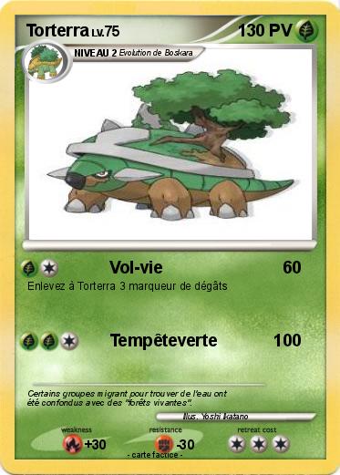 Pokemon Torterra