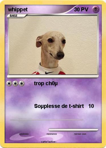 Pokemon whippet