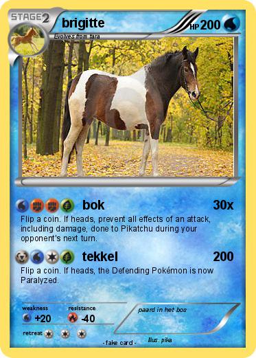 Pokemon brigitte