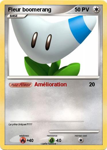 Pokemon Fleur boomerang
