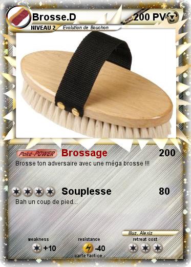Pokemon Brosse.D