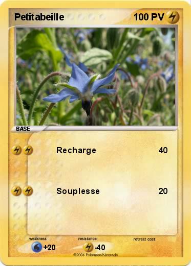 Pokemon Petitabeille