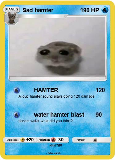 Pokemon Sad hamter