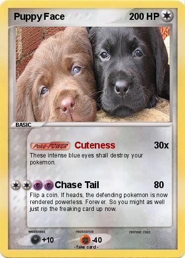 Pokemon Puppy Face
