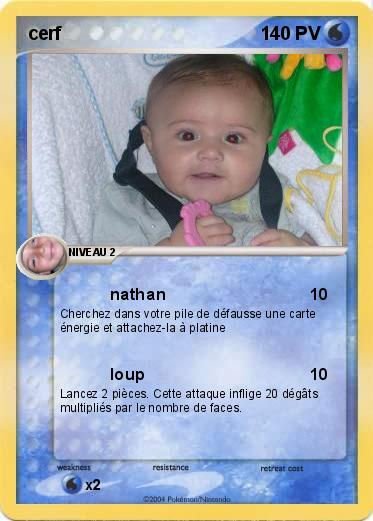 Pokemon cerf