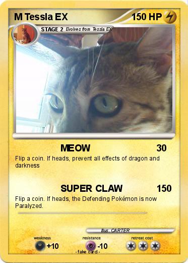 Pokemon M Tessla EX
