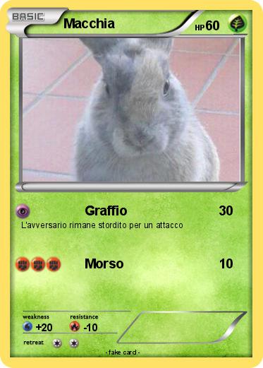 Pokemon Macchia