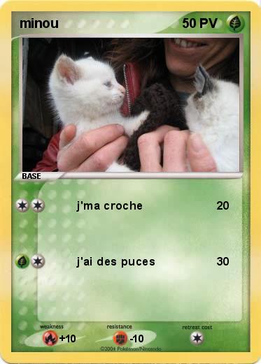 Pokemon minou