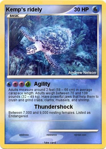 Pokemon Kemp's ridely