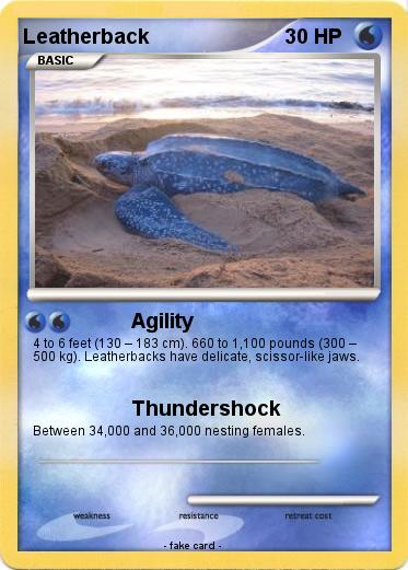 Pokemon Leatherback