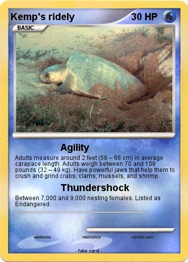 Pokemon Kemp's ridely