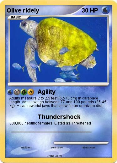 Pokemon Olive ridely