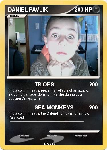 Pokemon DANIEL PAVLIK