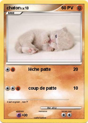 Pokemon chaton