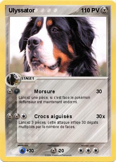 Pokemon Ulyssator