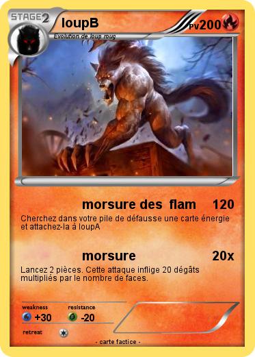 Pokemon loupB