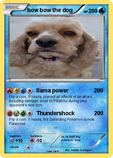 Pokemon bow bow the dog