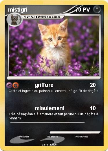 Pokemon mistigri