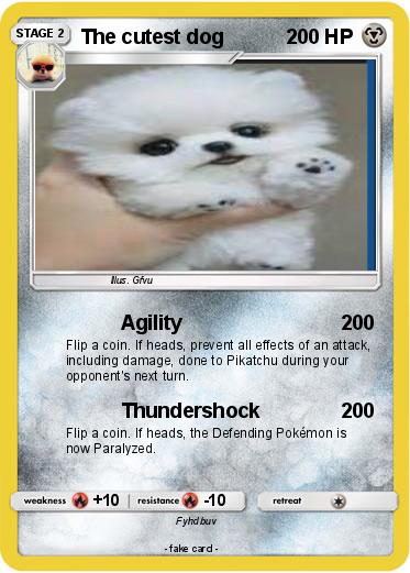Pokemon The cutest dog