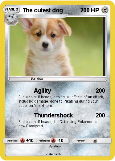 Pokemon The cutest dog
