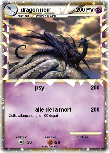 Pokemon dragon noir