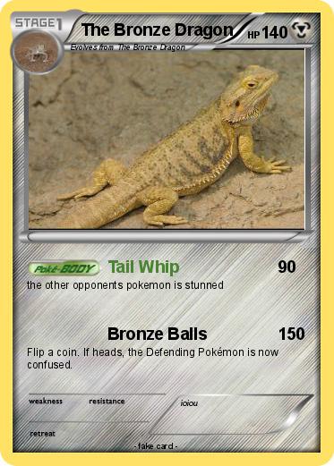 Pokemon The Bronze Dragon