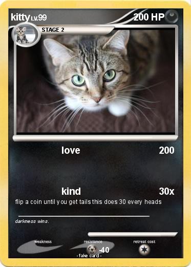 Pokemon kitty