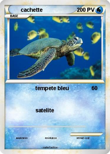 Pokemon cachette