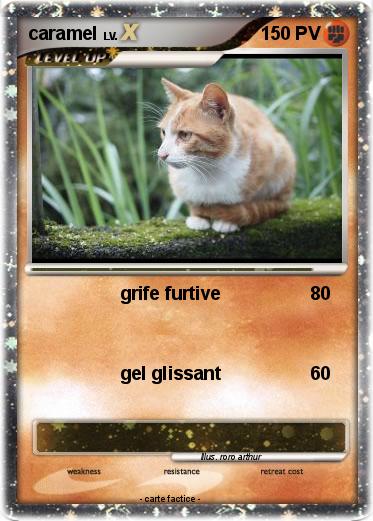 Pokemon caramel