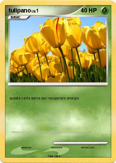 Pokemon tulipano