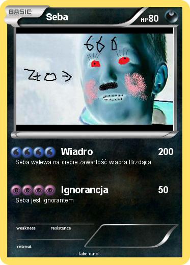 Pokemon Seba