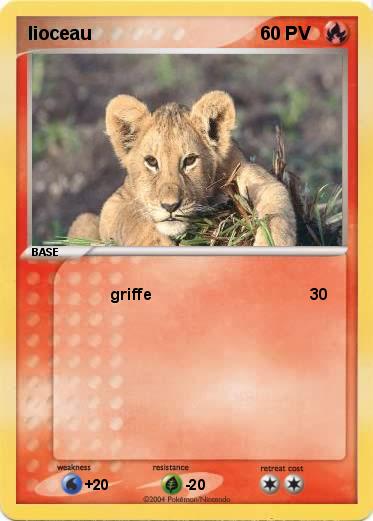 Pokemon lioceau