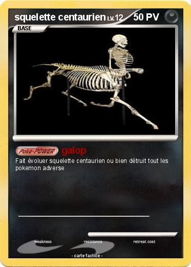 Pokemon squelette centaurien