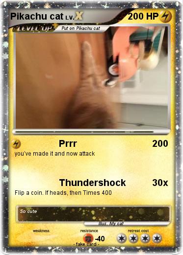 Pokemon Pikachu cat