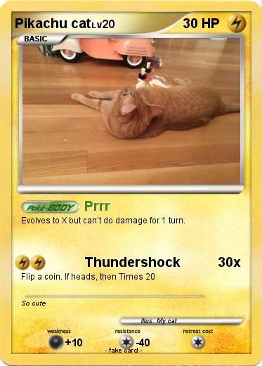 Pokemon Pikachu cat