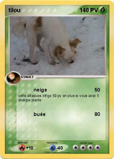 Pokemon tilou