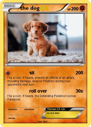 Pokemon the dog