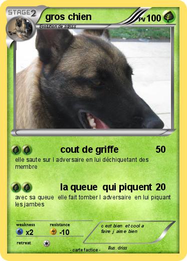 Pokemon gros chien
