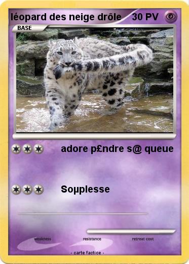 Pokemon léopard des neige drôle
