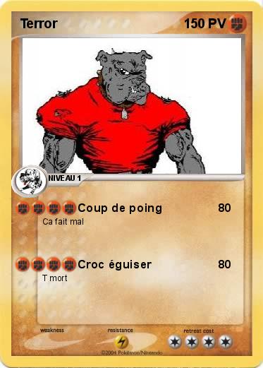 Pokemon Terror