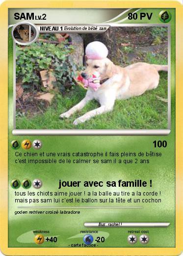 Pokemon SAM