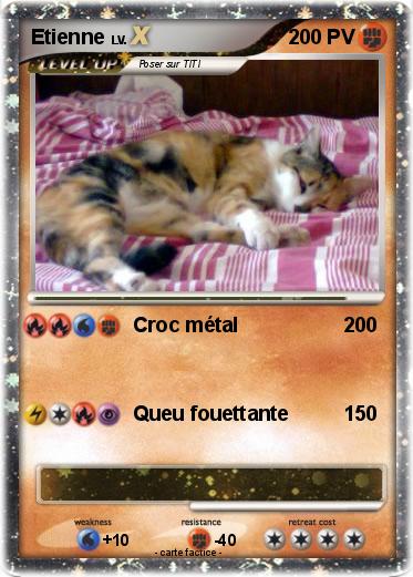 Pokemon Etienne